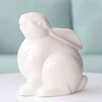 41oABR-ii+L._AC_UF350,